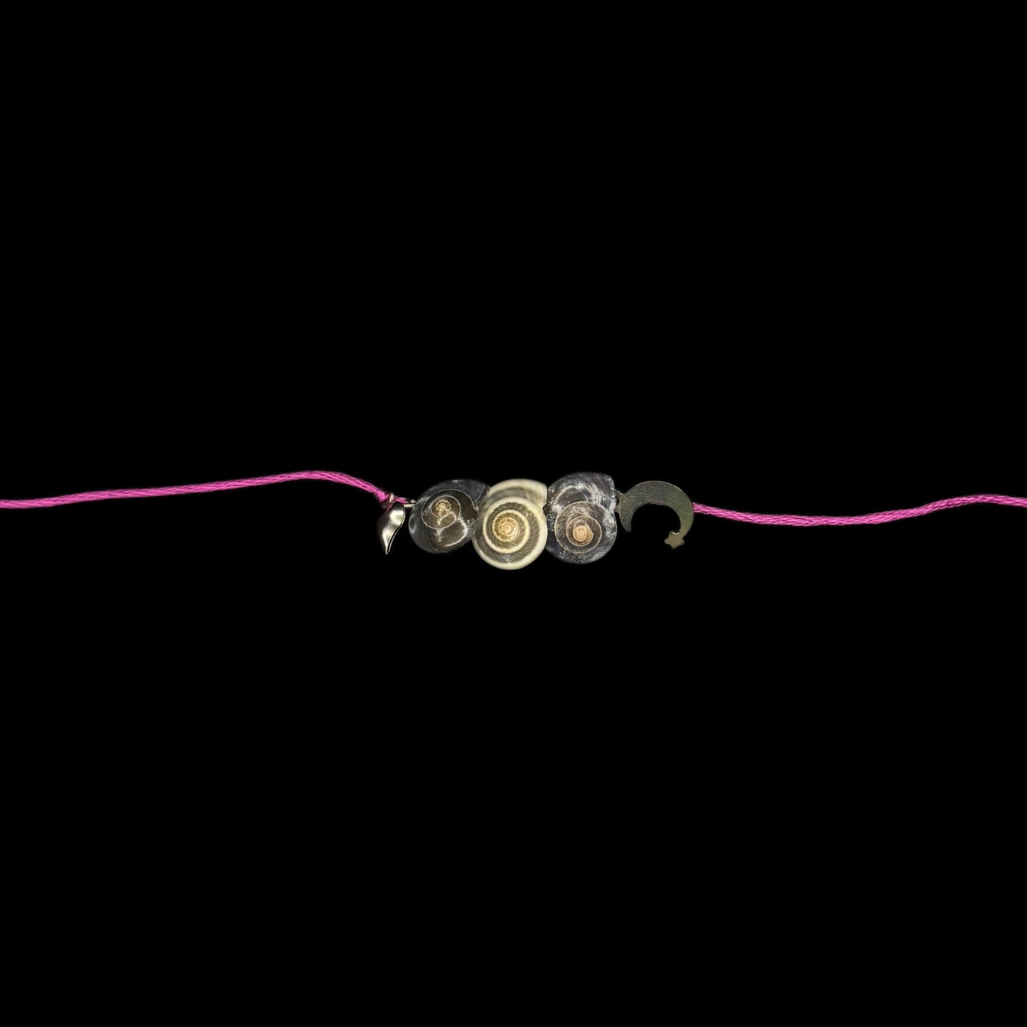 Big family of snails stacked rakhi