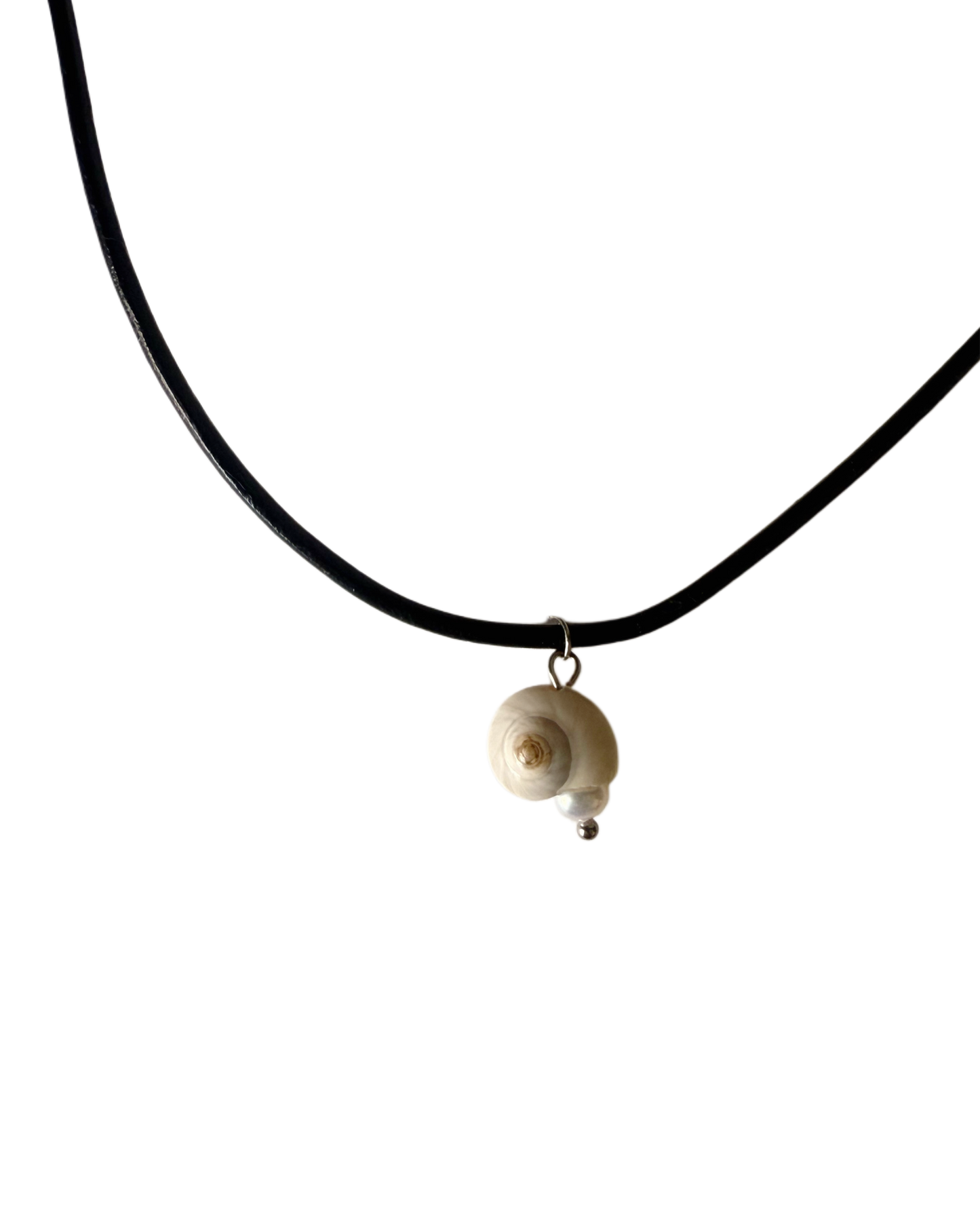 I found the snail before it found me