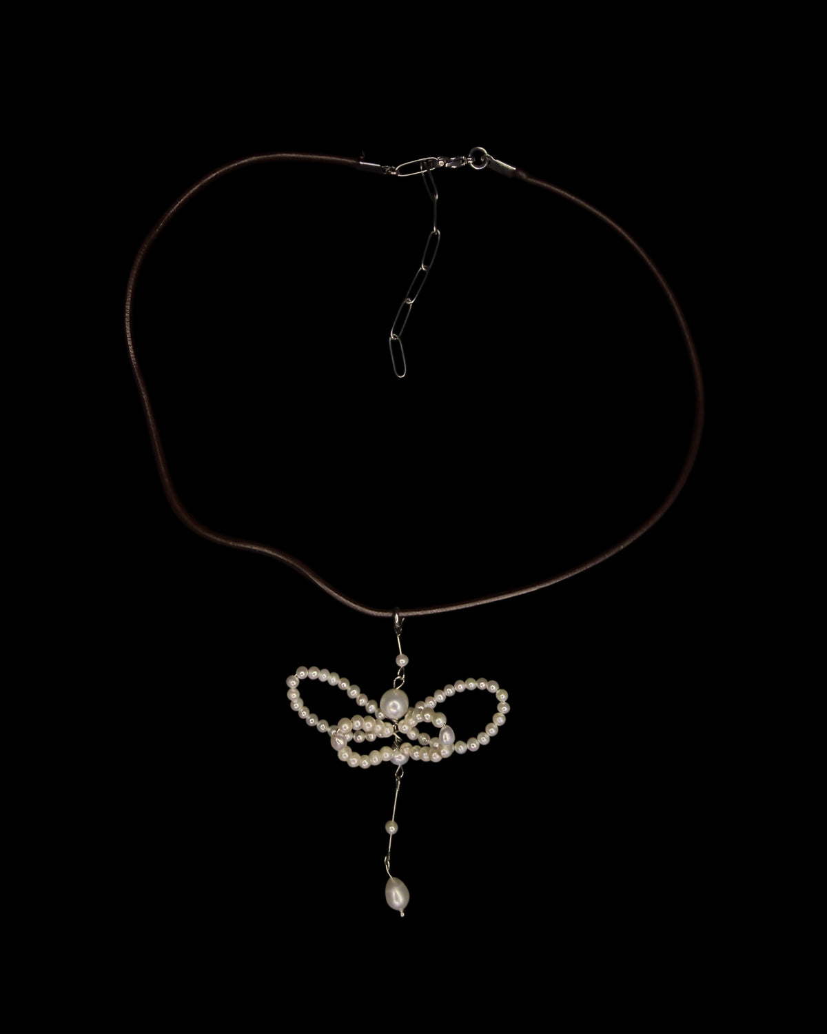 Dragonfly in my garden choker