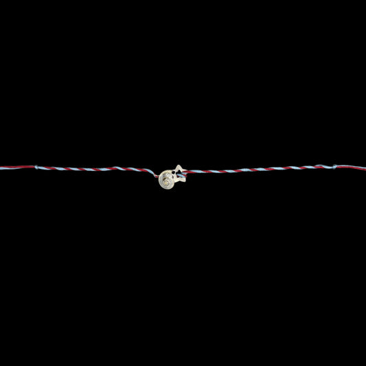 Denim snail rakhi