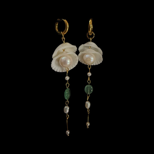 Pearl sleeping in shells earrings