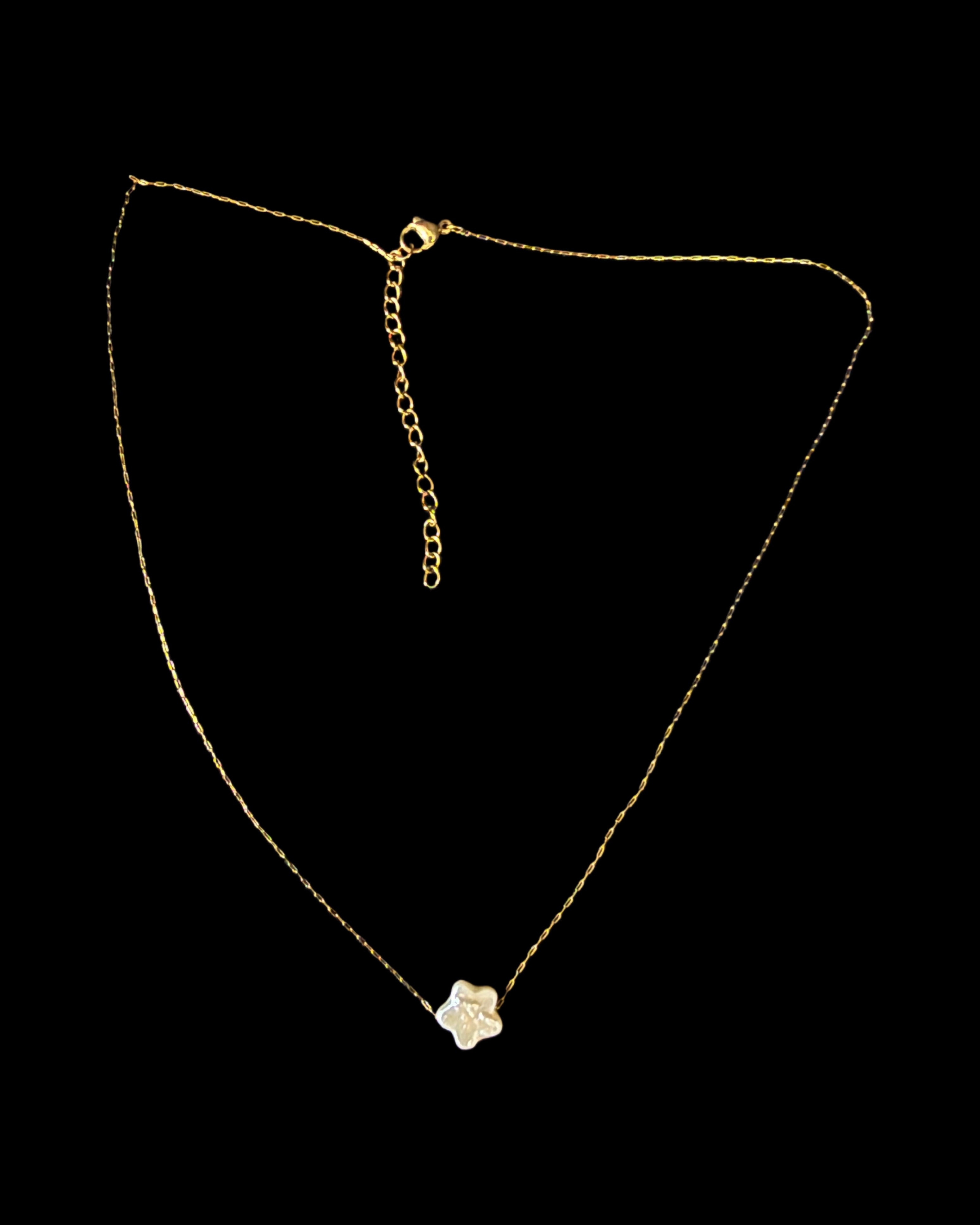 Flower on invisible string – Princess ri