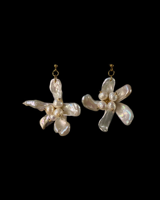 Flower that never die