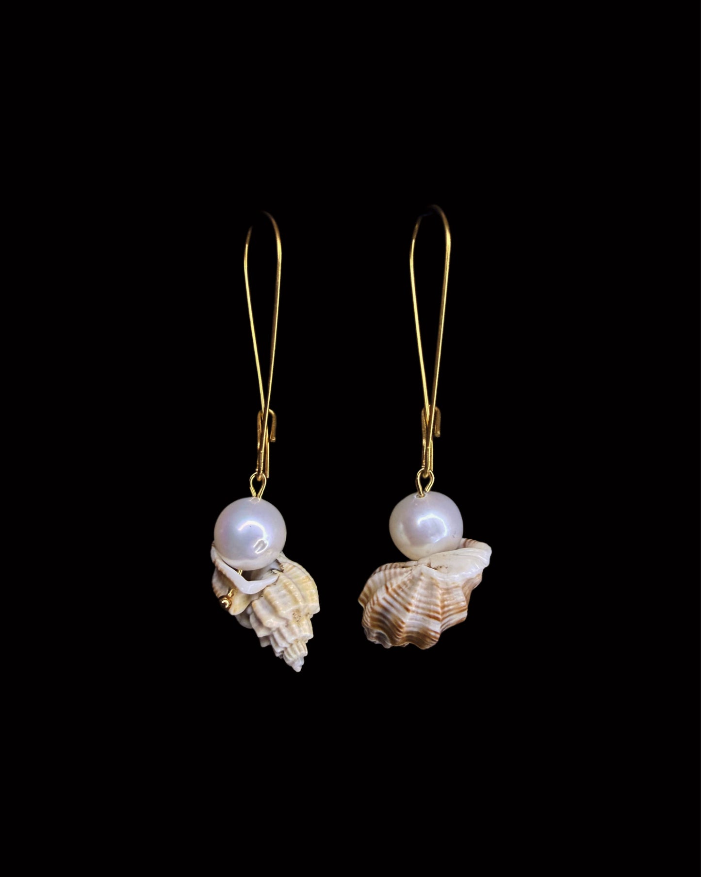 Sleep in my shell hoops