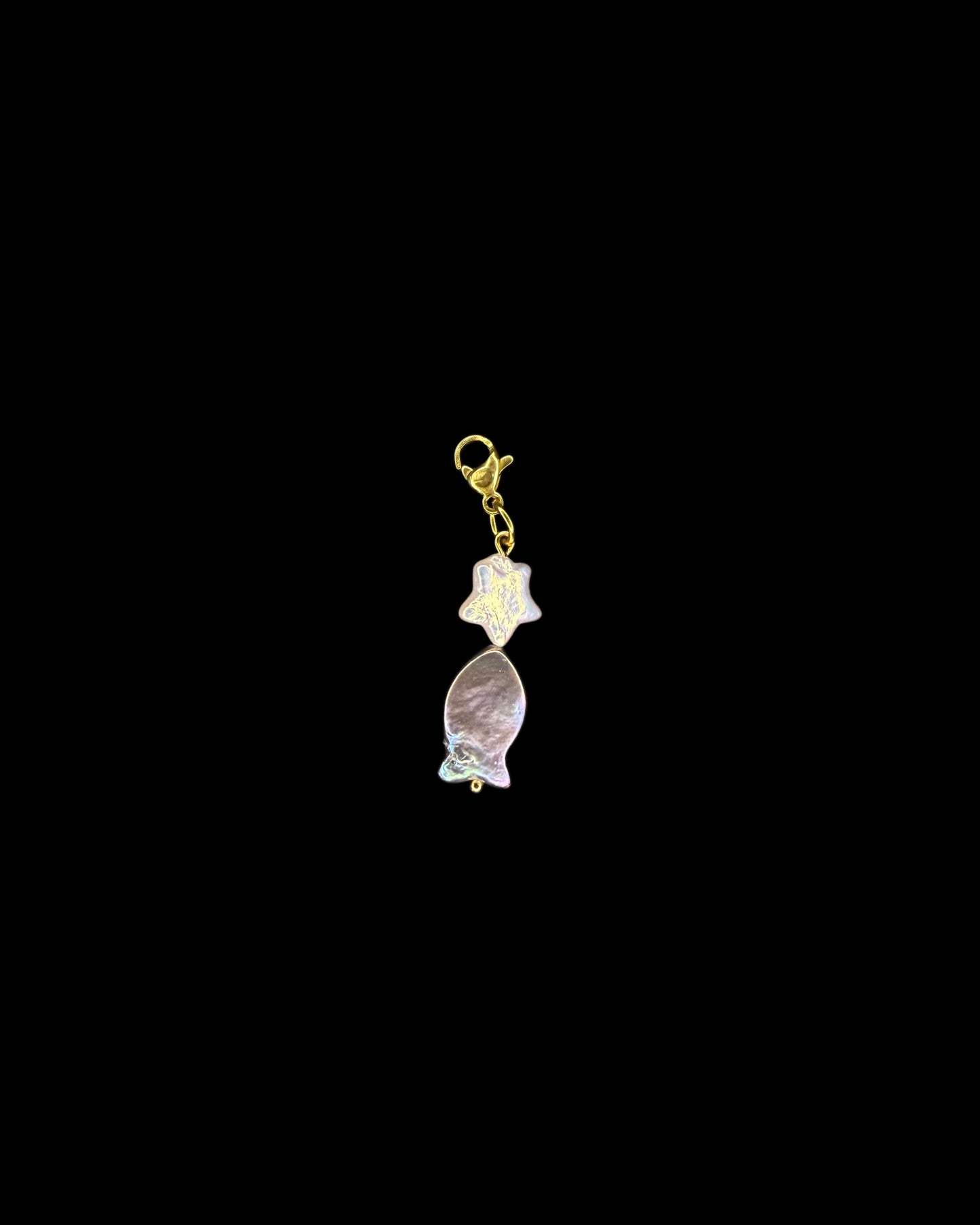 Fish eating star charm