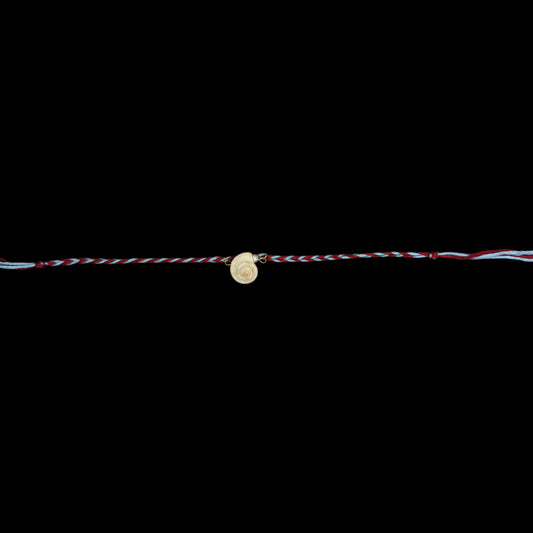 Snail hiding agent pearl rakhi