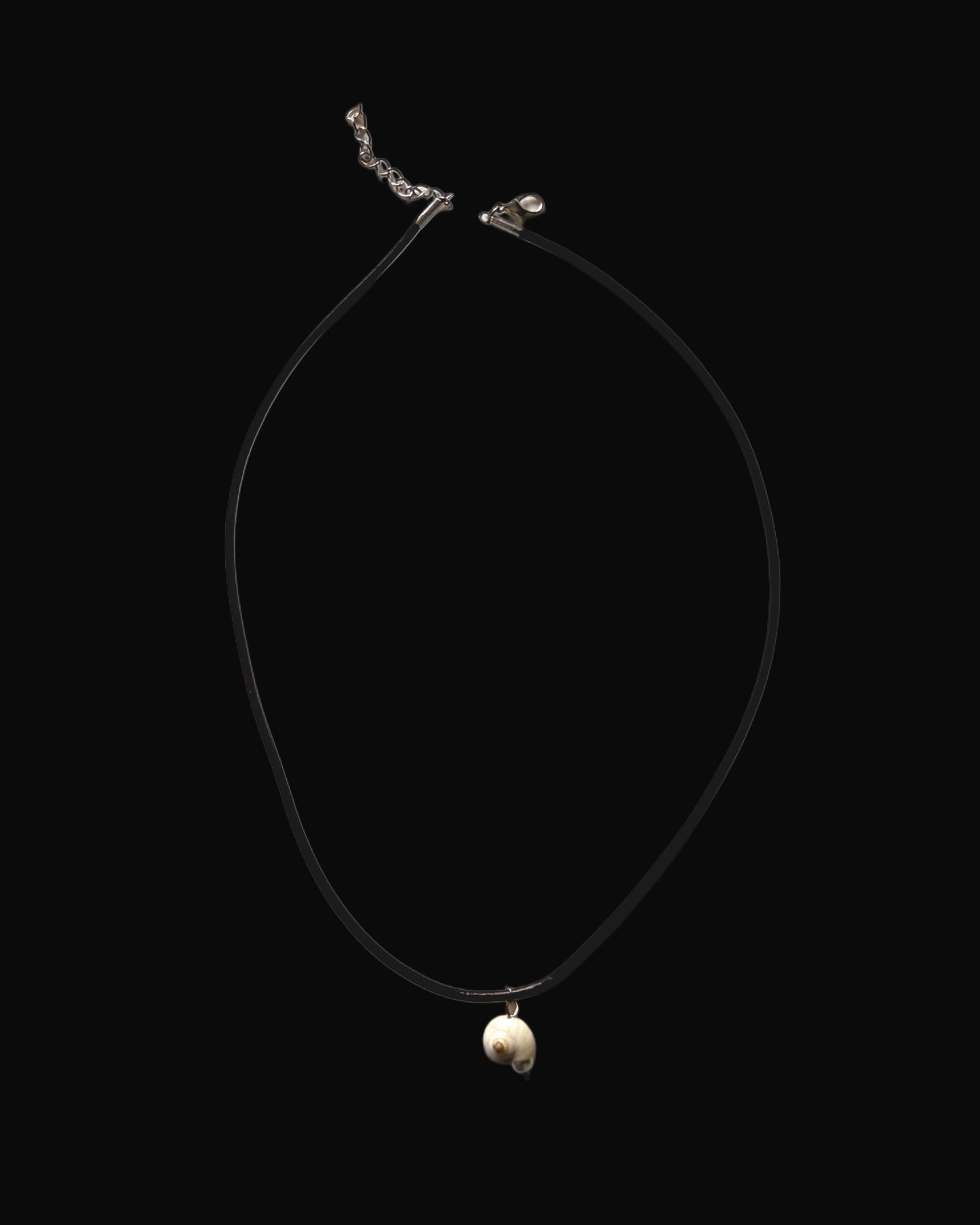 I found the snail before it found me