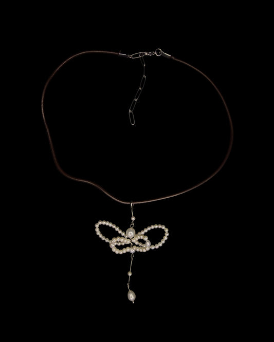 Dragonfly in my garden choker